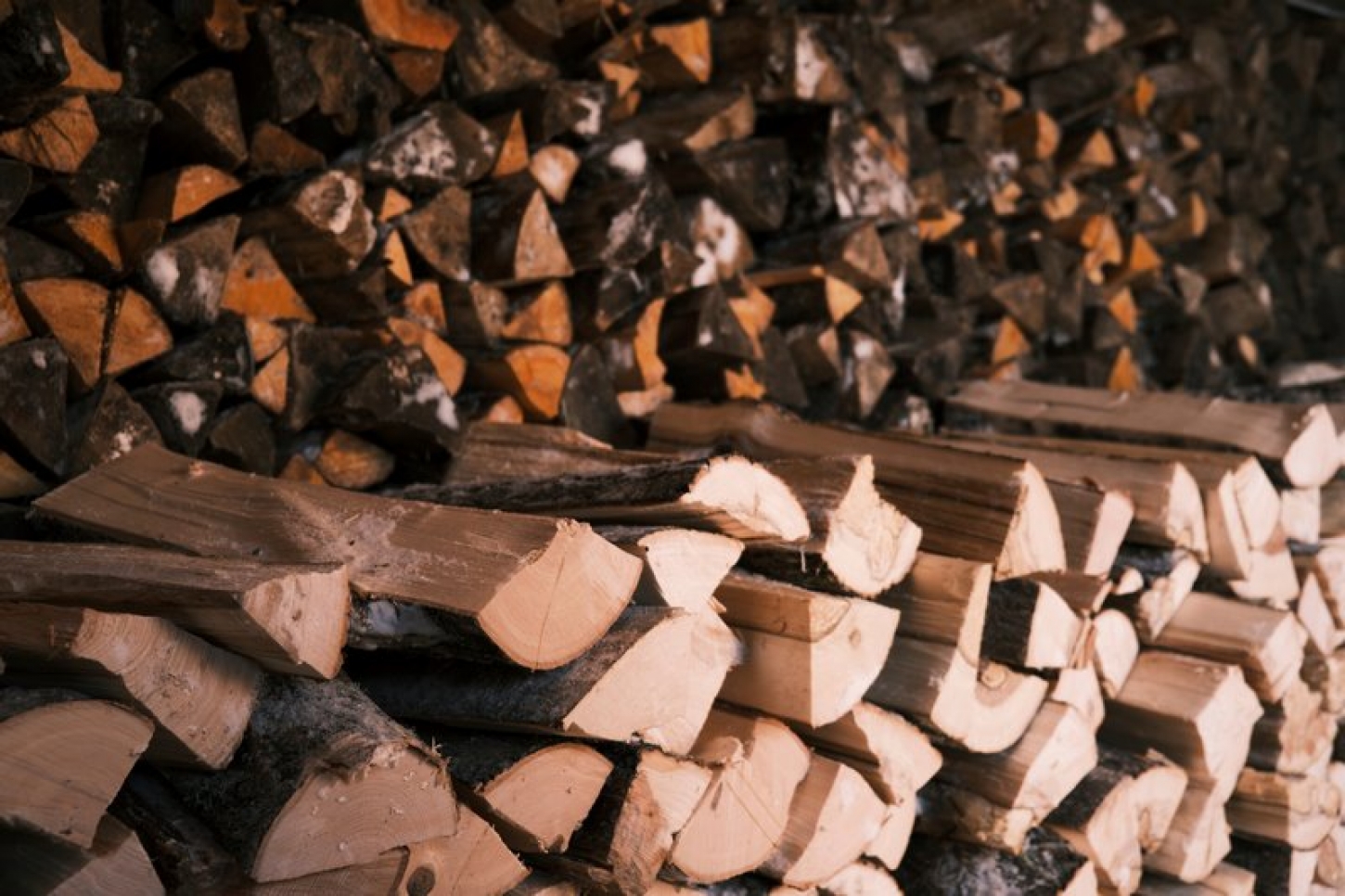 Plate material such as particle board, MDF, multiplex and OSB do not belong in the fire pit