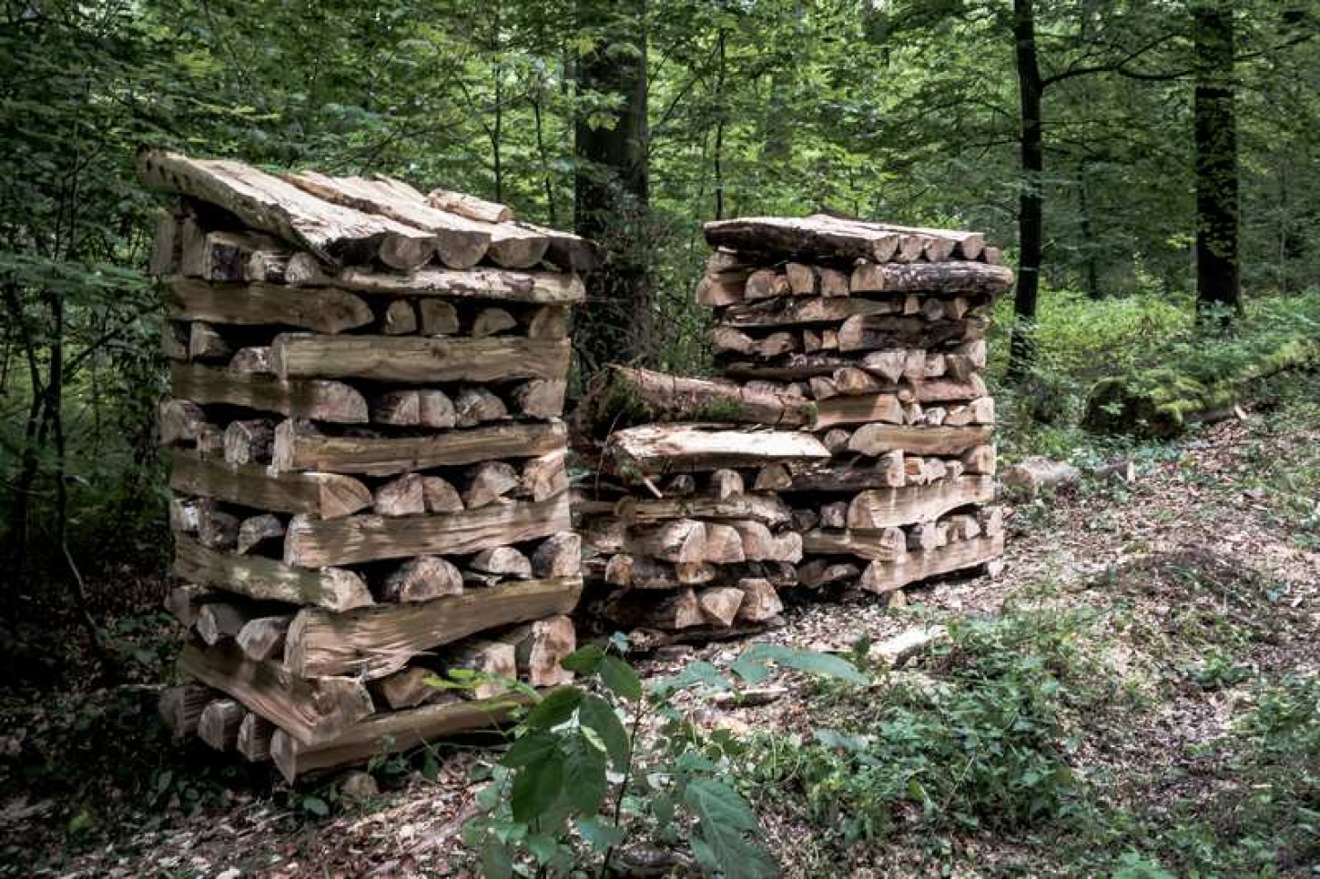 You do not put wet trousers, right from the washing machine, directly in the clothing closet, and you do not put a wet block of wood in a fire pit.
